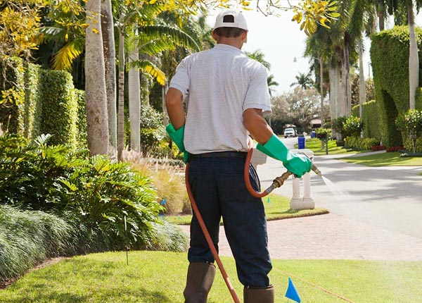 About Duenweg MO Pest Control